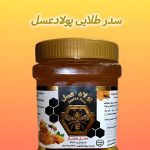 عسل کنار ممتاز ۱ کیلویی پولاد عسل