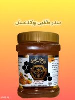 عسل کنار ممتاز ۱ کیلویی پولاد عسل