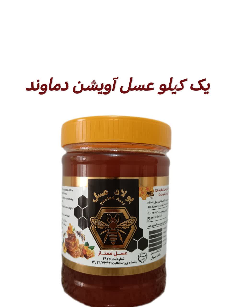 IMG_20251214_223121_236 عسل آویشن دماوند ۱ کیلویی پولاد عسل - Image 1