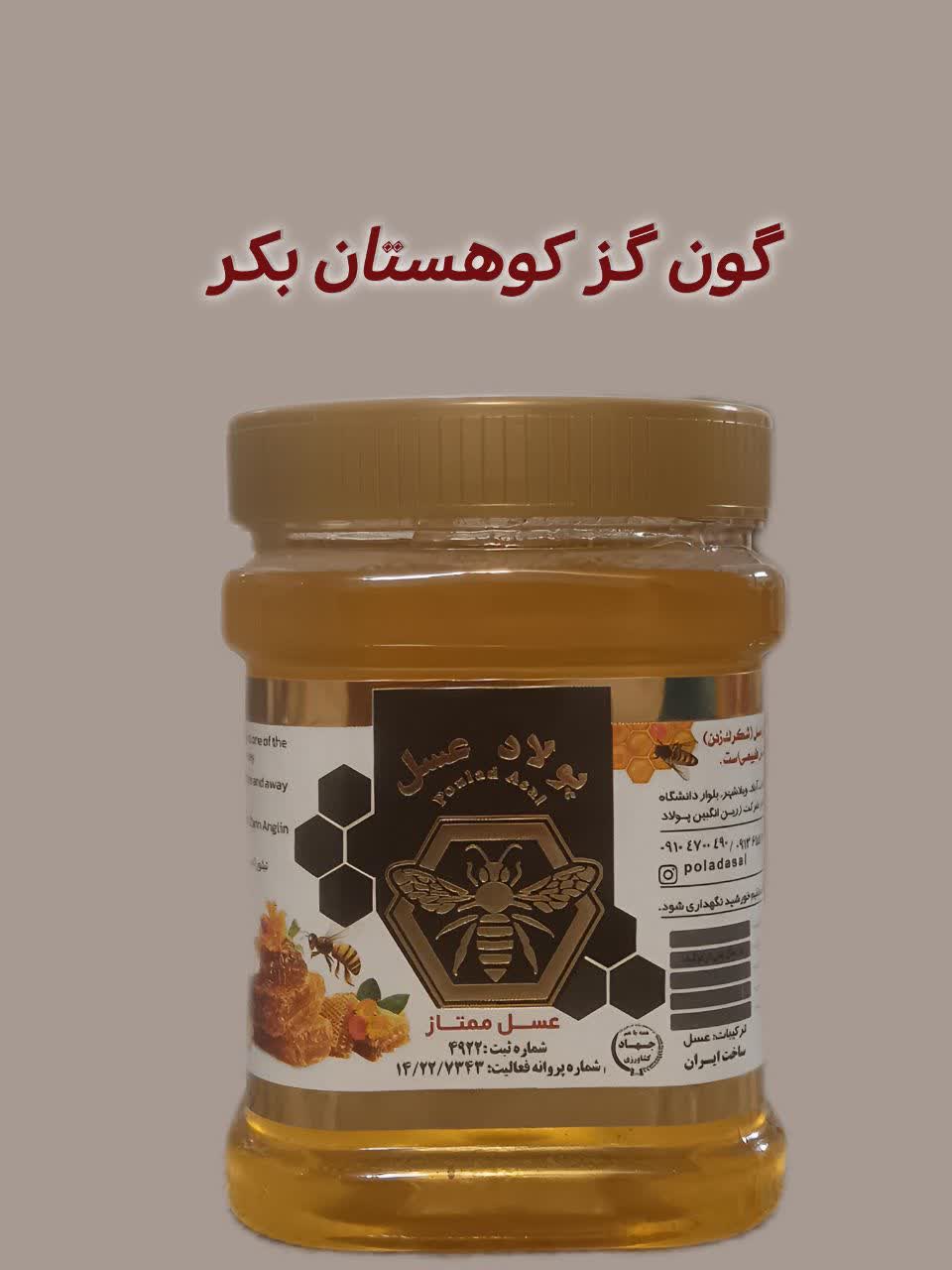 IMG_20251214_223749_163 عسل گون گز کوهستان ۱ کیلویی - Image 1